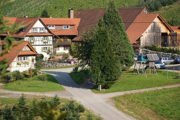 Gîte pour 3 personnes, avec jardin, animaux acceptés à Durbach