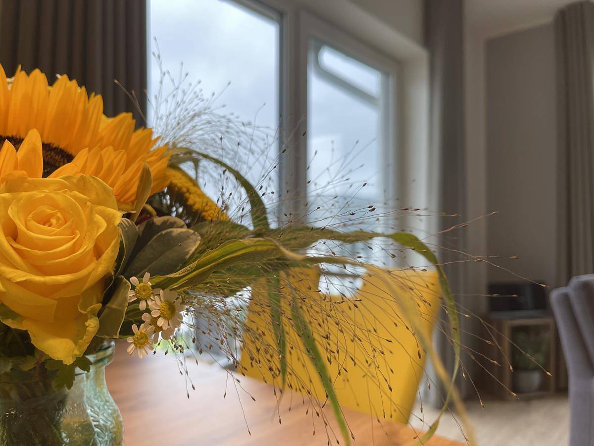Ganze Wohnung, Sonnenweg 46-6 - Wilde 13 in Diemelsee, die Mittelgebirge