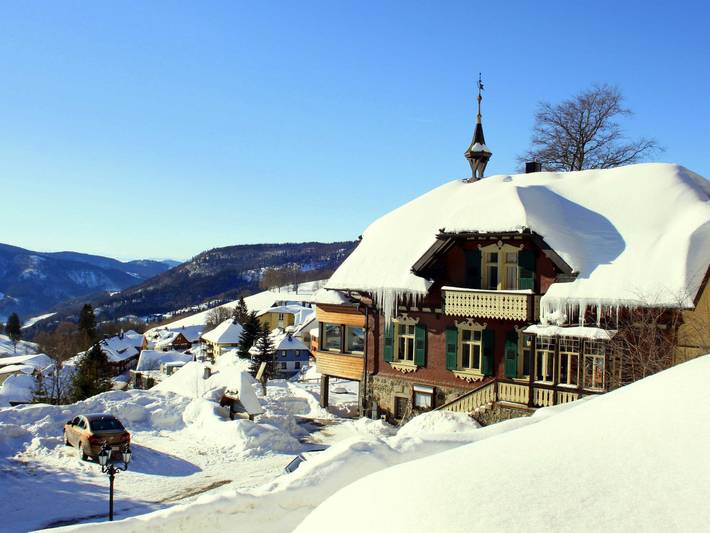 Hotel für 6 Personen, mit Garten, kinderfreundlich in Todtnauberg