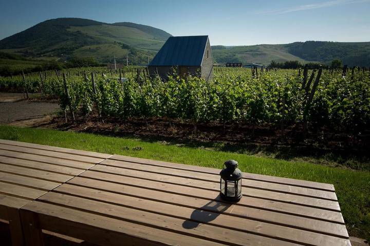 Gîte pour 2 personnes, avec piscine et jardin ainsi que vue et terrasse à Eger - 4