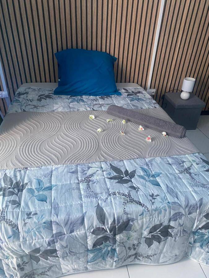 Chambre d’hôte pour 3 personnes, avec vue et jardin