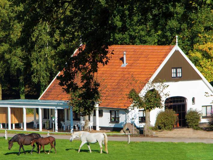 Vakantiewoning voor 4 personen, met Terras en Tuin in Ootmarsum