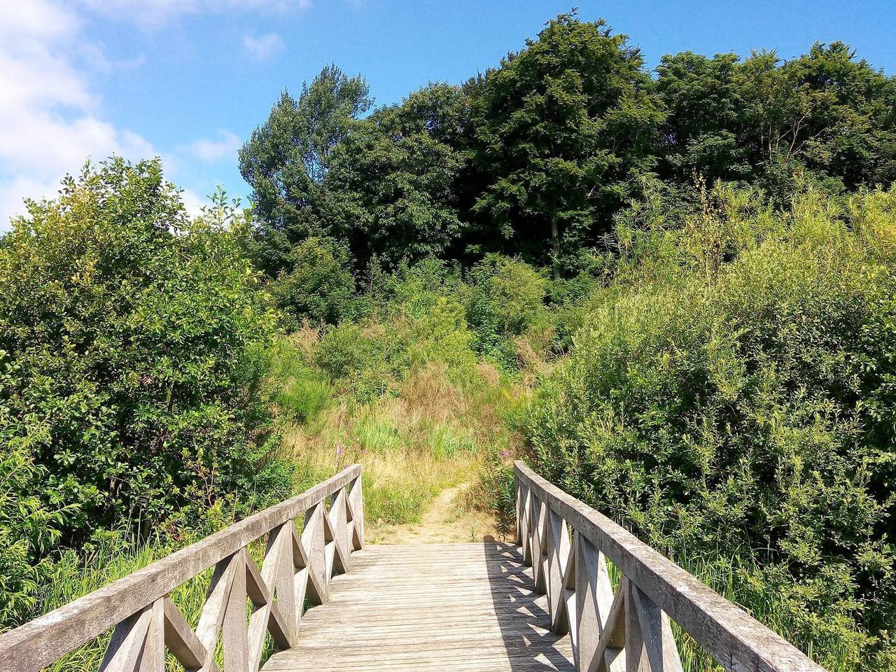 12 person holiday home in Ansager-By Traum in Varde Region