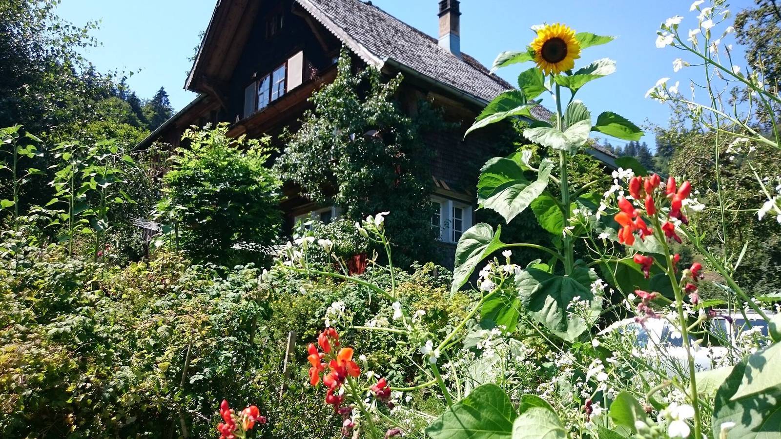 Elefantenhaus am Waldrand, eigenes Quellwasser in Brunnadern, Neckertal