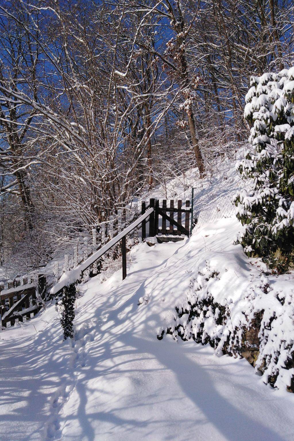 Appartement entier, Jagd auf Ldoge in Karlovy Vary, Bohême occidentale