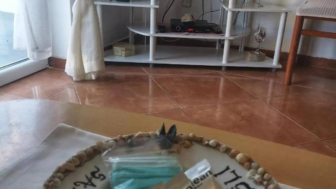 Ganze Ferienwohnung, Ferienwohnung für 4 Personen (35 m²) in Saplunara in Saplunara, Mljet