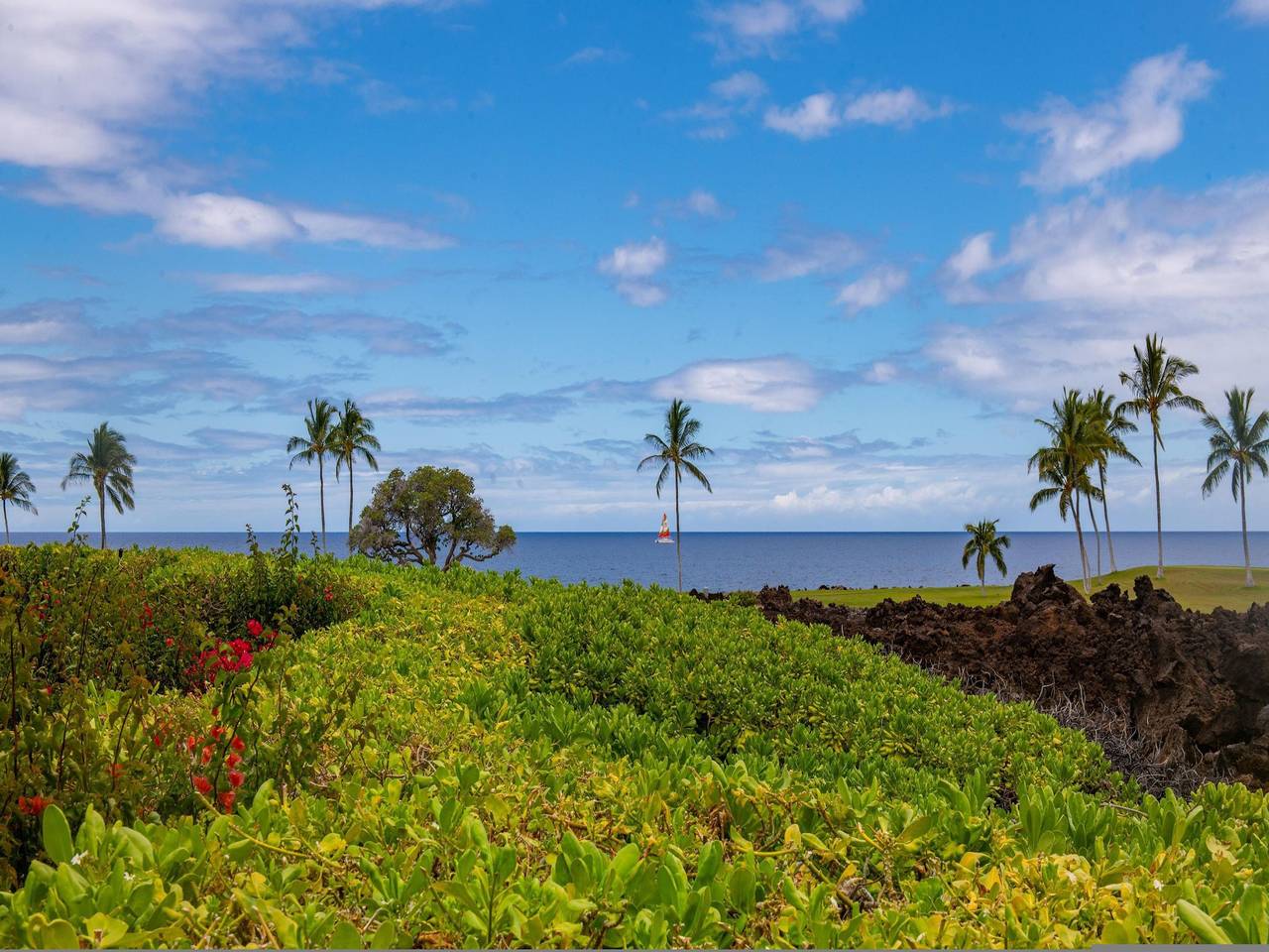 Apartamento entero, Mauna Lani Point B101 in Mauna Lani Resort, Puako
