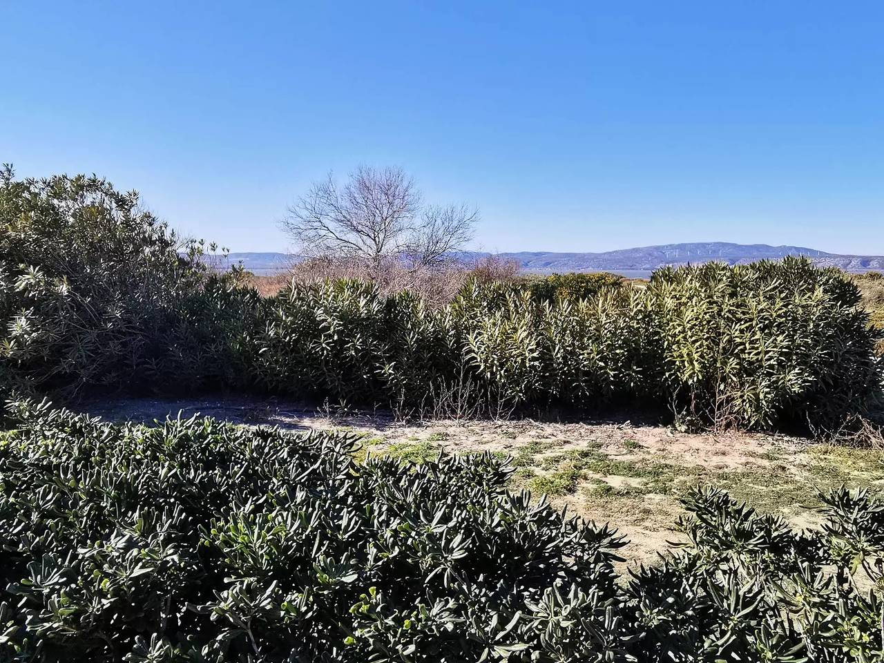 Villa 4 Zimmer - 6 Betten Le Barcares in Le Barcarès, Côte d'Améthyste