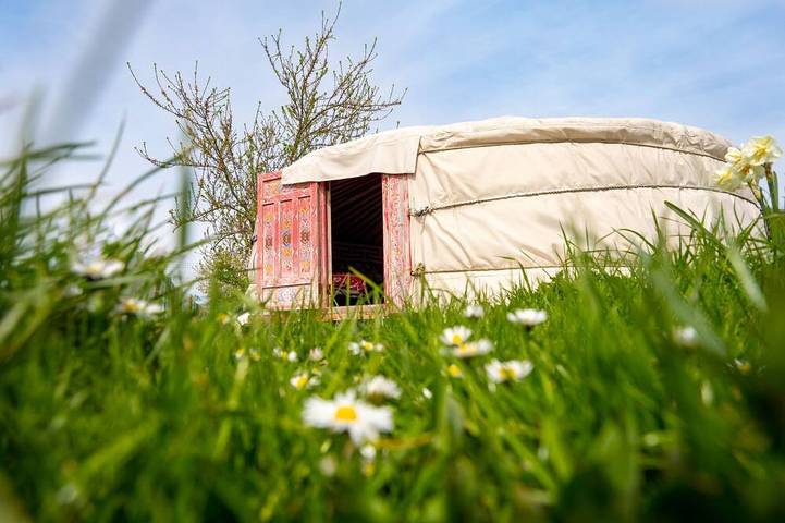 Location de vacances pour 8 personnes, avec Terrasse à Farbus