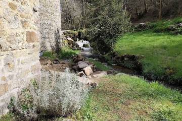 Gîte pour 6 personnes, avec jardin et terrasse, animaux acceptés à Thauron