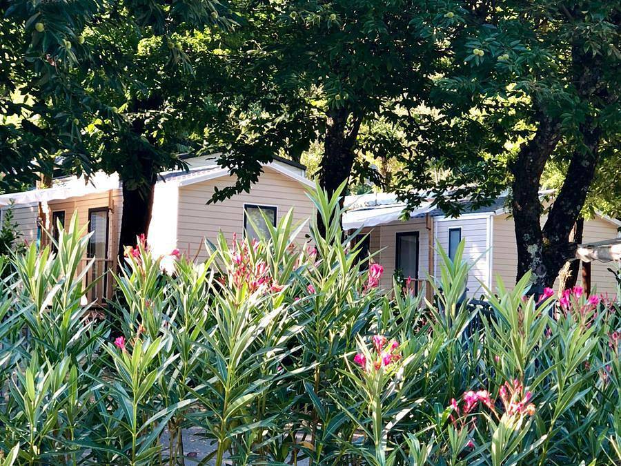 Camping Sunêlia Mazet Plage Ardèche - Mobilheim 4 personen - Mobilhom Club 2 Zimmer in Berrias-et-Casteljau, Cevennen