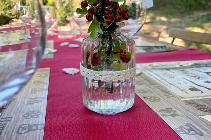 Gîte pour 12 personnes, avec balcon et jardin à Arpavon