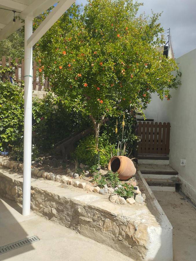 Casa rural para 6 personas, con Terraza además de Jardín y Vistas en Montejícar - 4