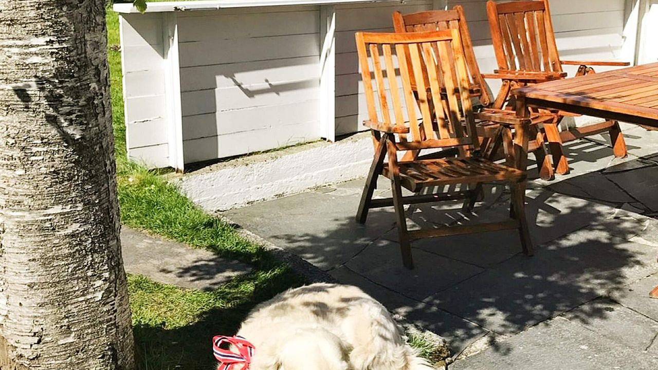 Ferienhaus für 7 Personen (120 m²) in Måløy in Vågsøy