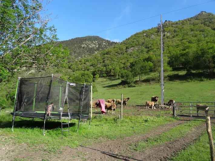 Location de vacances pour 8 personnes, avec jardin, animaux acceptés dans les Pyrénées-Orientales - 4