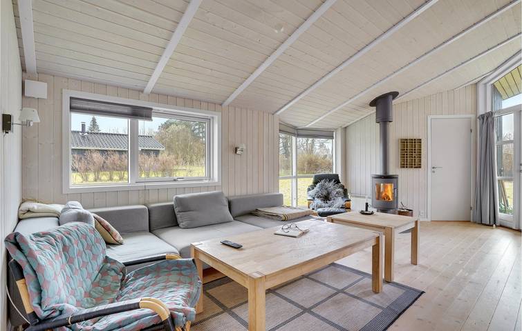 Ferienhaus für 6 Personen, mit Whirlpool und Terrasse sowie Sauna auf Møn - 4