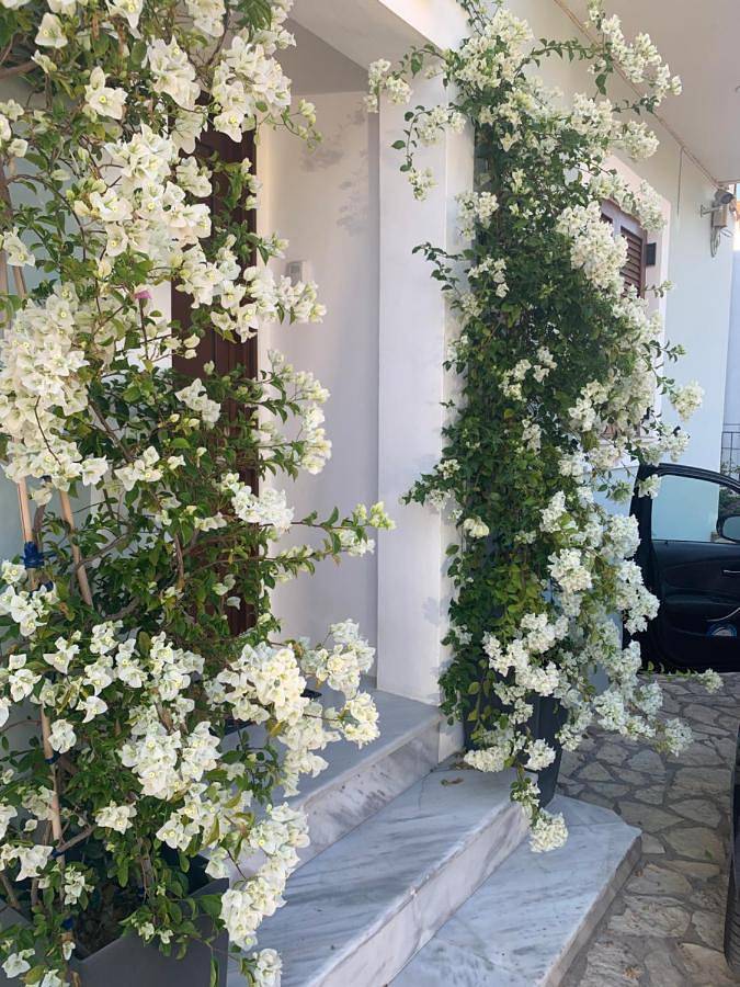 Gîte pour 5 personnes, avec vue et terrasse dans Pýlos - 2