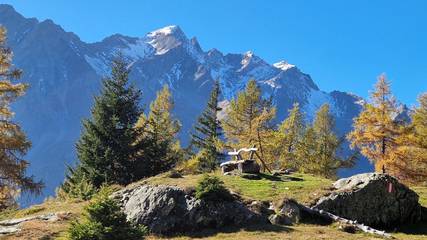 Ferienwohnung für 6 Personen, mit Garten, mit Haustier in Virgen