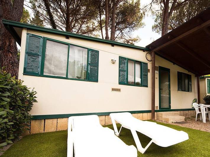 Camping für 4 Personen in der Toskana - 2