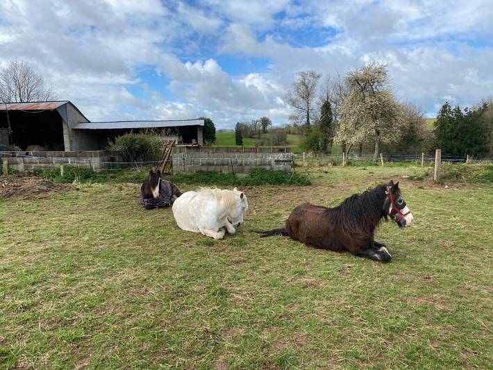 Location de vacances pour 2 personnes, avec terrasse et jardin à Mantilly - 2