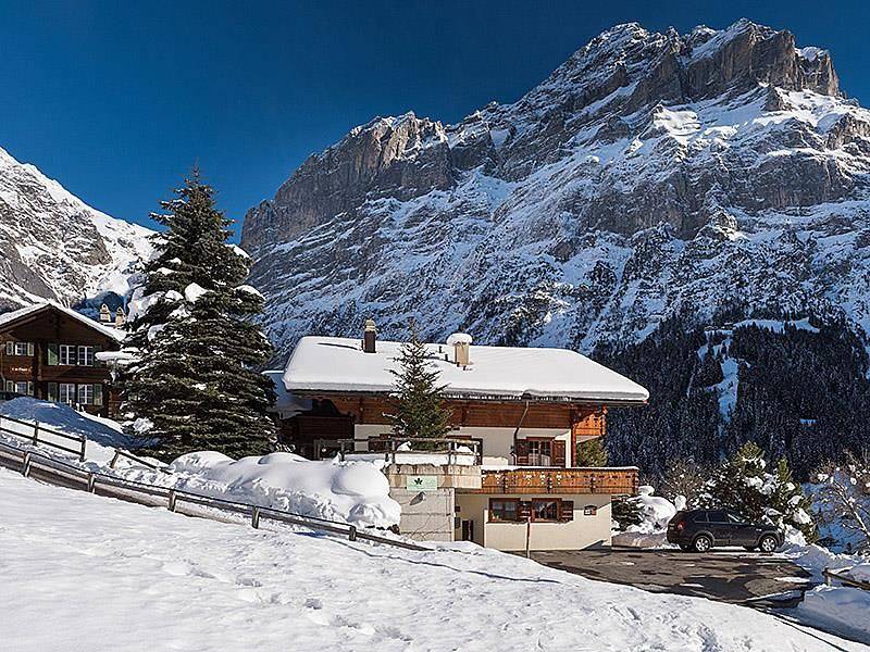 Geheel vakantieappartement, 3.5 - Zimmerwohnung Chalet im Zwygarten in Grindelwald in Grindelwald, Grindelwald en omgeving