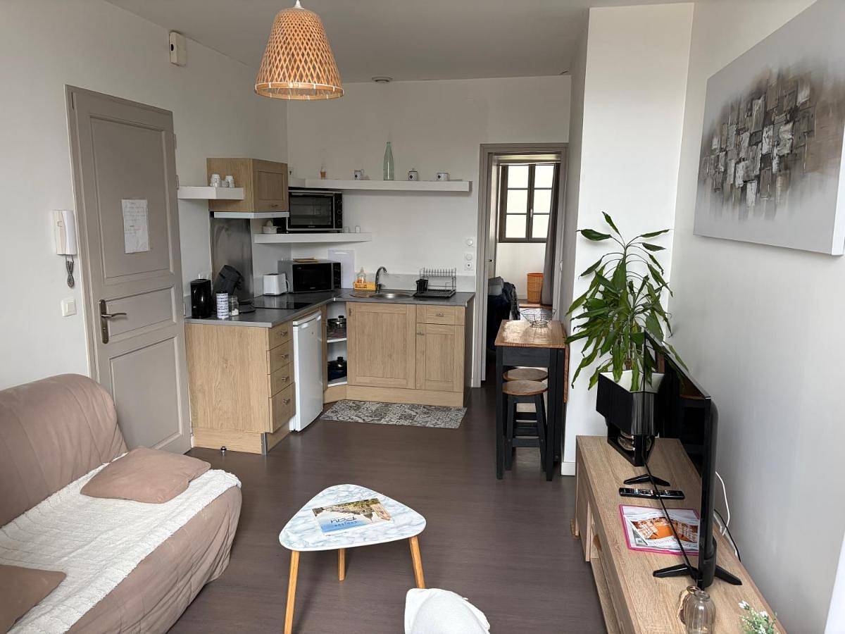 Appartement entier, Centre Pau proche Chateau et gare 33 m2 in Pau, Béarn