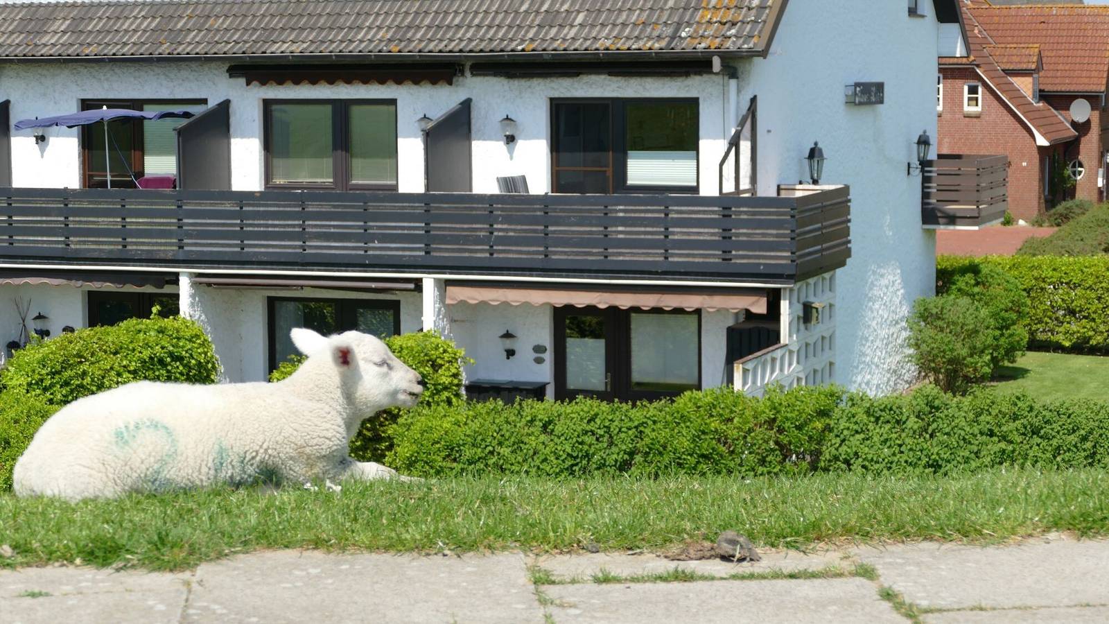 Ferienwohnung für 2 Personen in Nordstrand (Gemeinde), Nordstrand