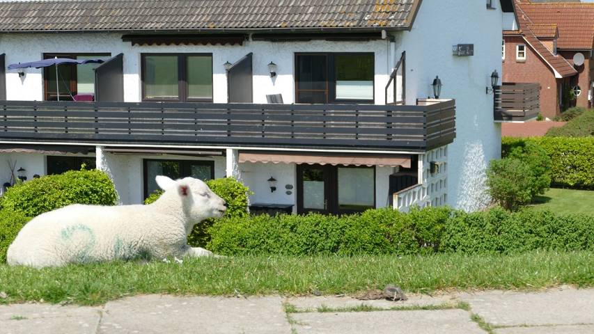 Ferienwohnung für 2 Personen, mit Garten in Nordstrand