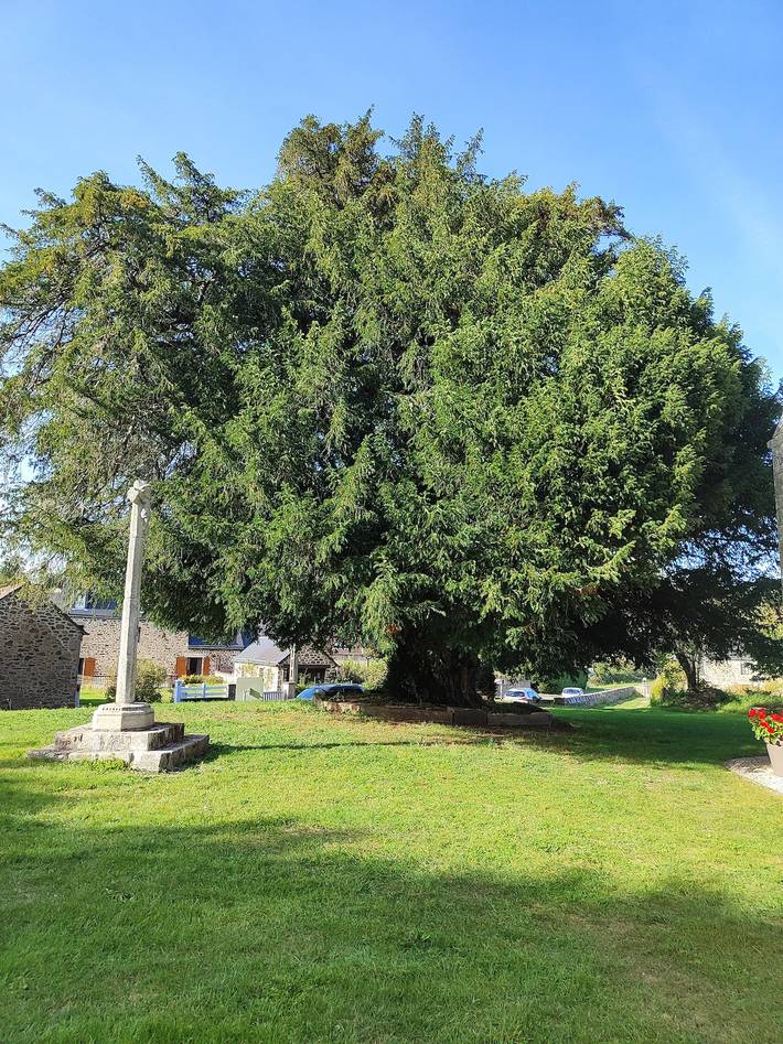 Großes Familienhaus mit privater Terrasse, Garten und Wlan in Saint Lormel in Saint-Lormel, Dinan und Umgebung