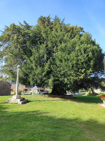 Gîte pour 12 Personnes dans Saint-Lormel, Région de Dinan, Photo 2