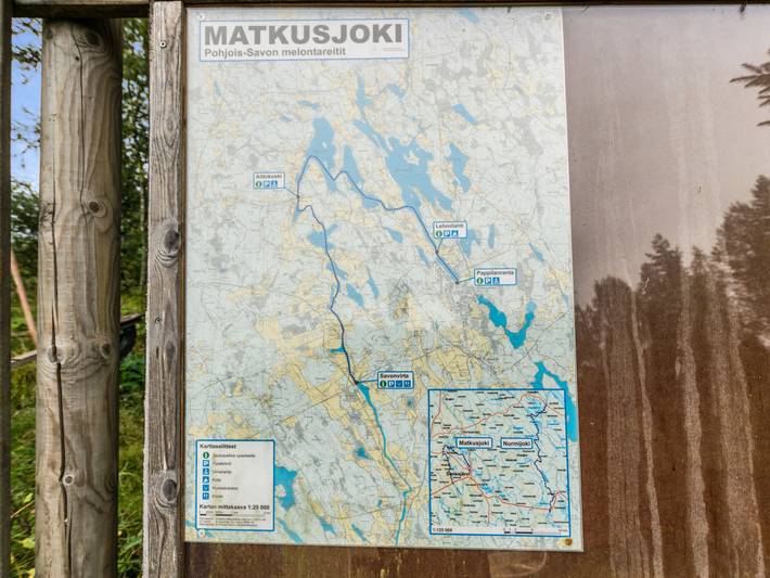 Koivu in Nord-Savo
