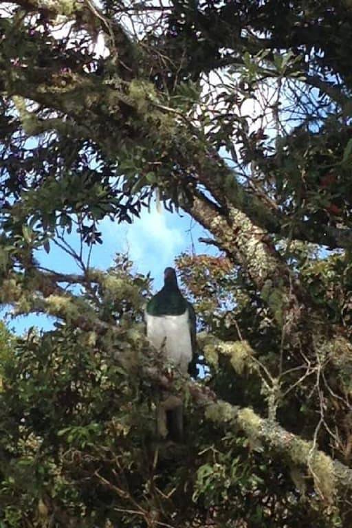 Idyllischer privater Strandurlaub in Kerikeri, Bay Of Islands