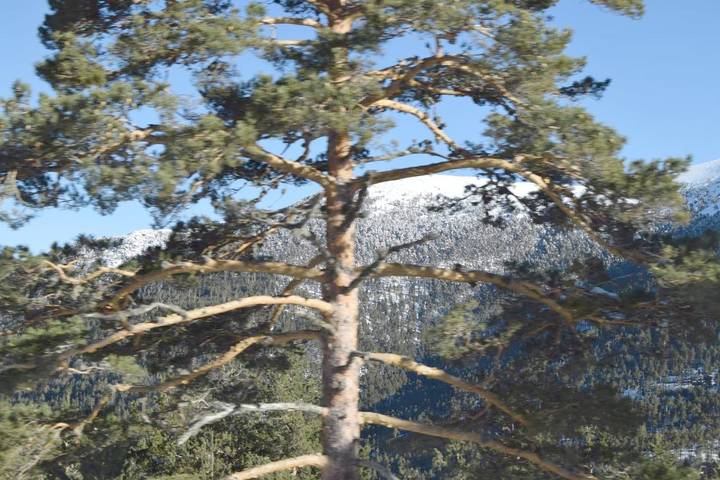 Hotel para 3 personas, con vistas además de jardín y terraza, Se admiten mascotas en Sierra Norte - 4