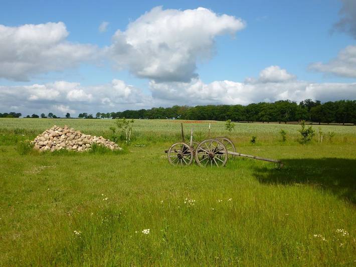 Ferienhaus für 4 Personen, mit Haustier in Torgelow am See
