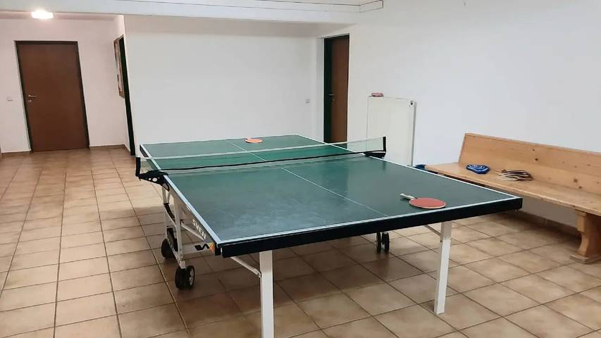 Ferienwohnung für 4 Personen, mit Garten und Sauna, mit Haustier in Radstadt - 2