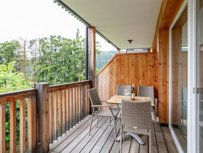 Ganze Wohnung, Schöne Wohnung mit Sauna und Balkon in Haus, Schladming-Dachstein
