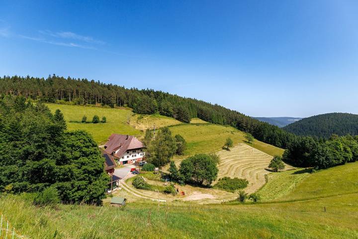 Ganze Wohnung, Ferienwohnung '1' mit gemeinsamer Terrasse und Wi-Fi in Hornberg, Mittlerer Schwarzwald