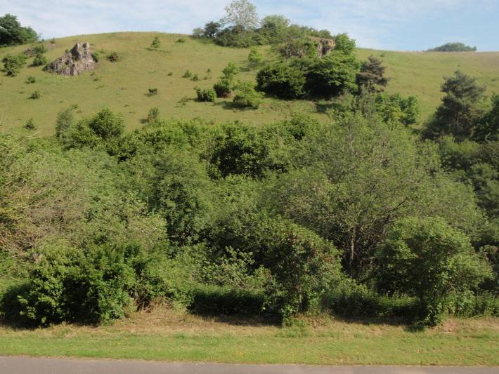 Ferienwohnung für 4 Personen, mit Balkon in der Vulkaneifel - 4