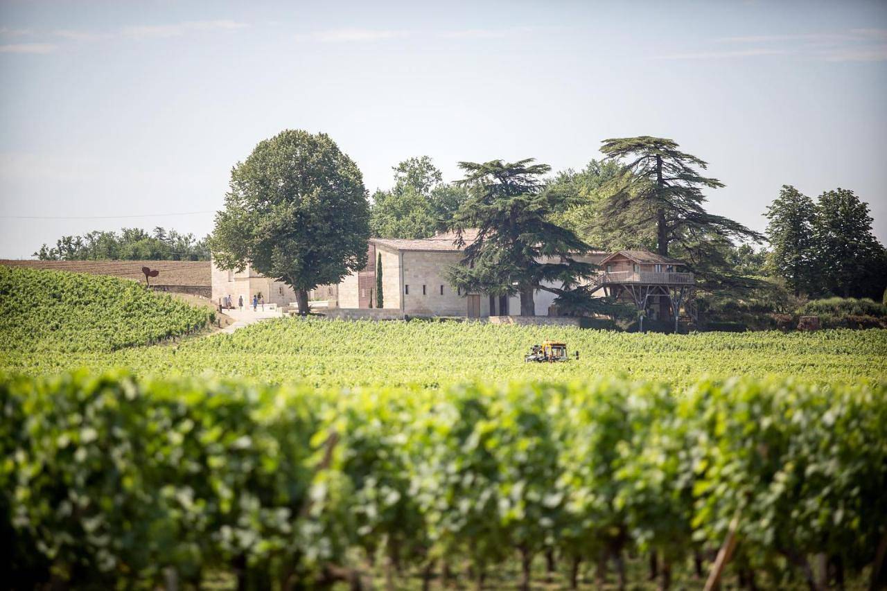 Le Relais de Franc Mayne Saint Emilion in Saint-Émilion, Région de Libourne