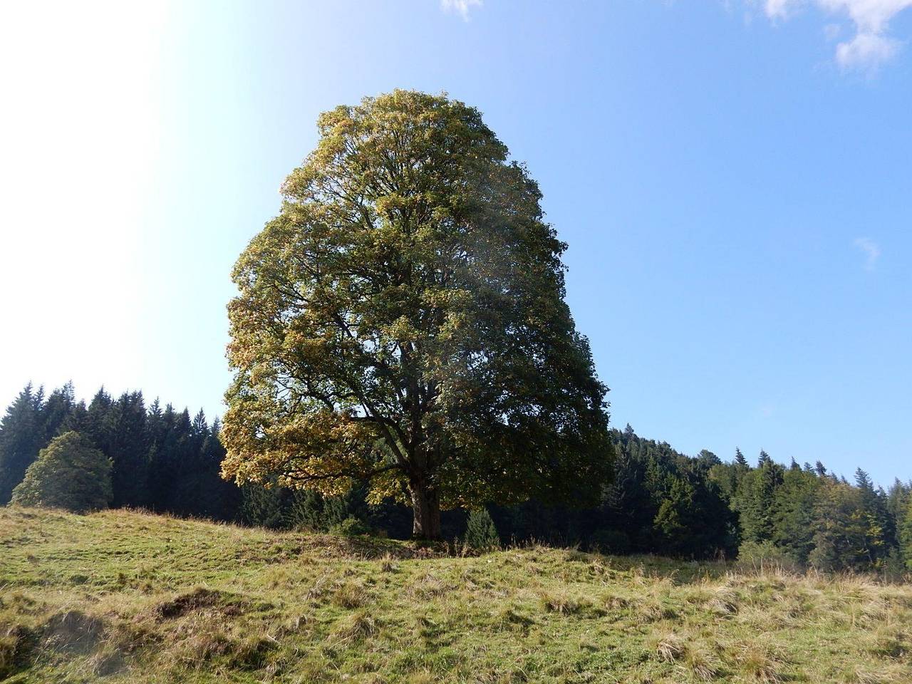 Ganze Ferienwohnung, Beim Heisn in Brauneck (Lenggries), Lenggries