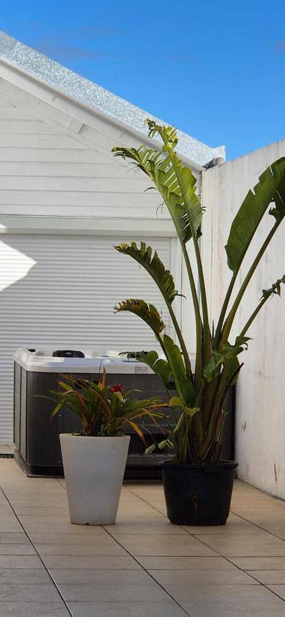 Gîte pour 12 personnes, avec jardin ainsi que sauna et jacuzzi, animaux acceptés à la Plaine des Cafres - 3