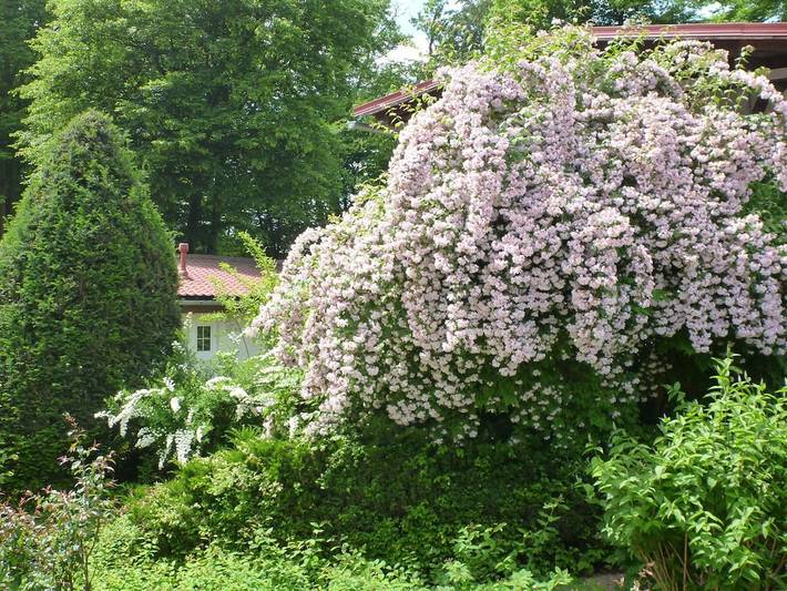 Ferienwohnung mit 1 Schlafzimmer in Krumpendorf am Wörthersee, Klagenfurt-Land