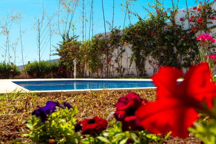 Villa pour 8 personnes, avec vue et jardin ainsi que sauna et piscine, animaux acceptés à Tanger - 2