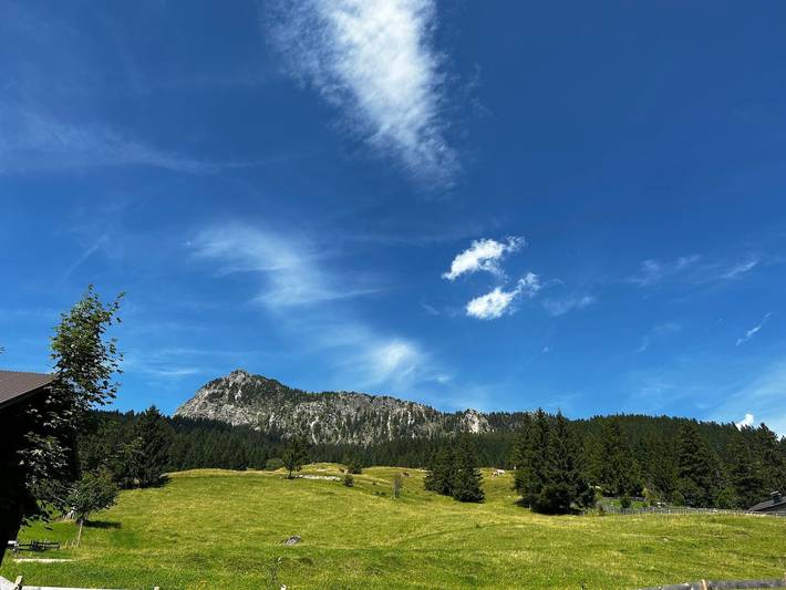 Ferienwohnung für 5 Personen, mit Garten in Tannheim (Tirol) - 2
