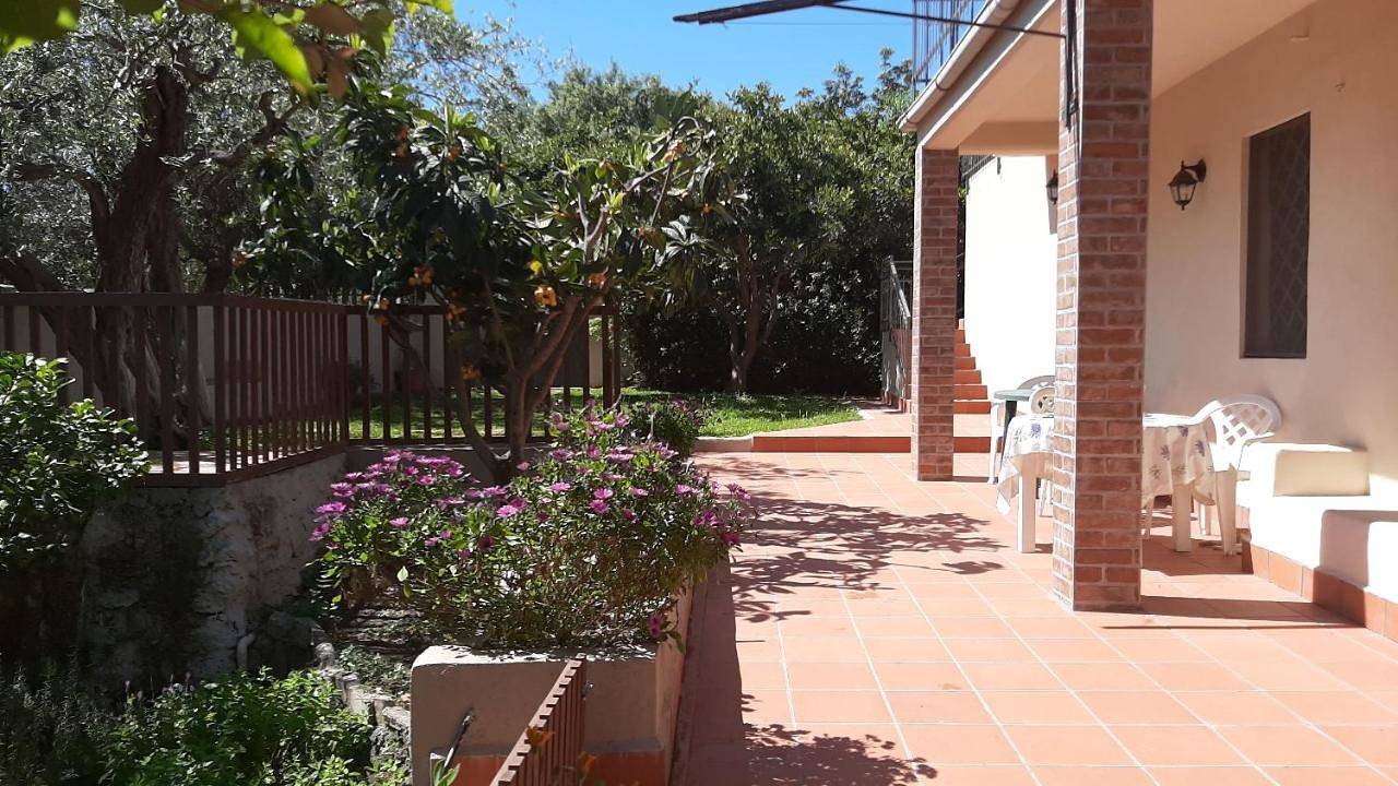 Carrubo - Giardino in città in Catania, Catania e dintorni