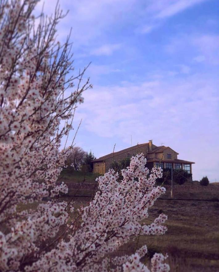 Casa rural para 14 personas, con Balcón y Terraza además de Jardín y Vistas en Encinas - 2