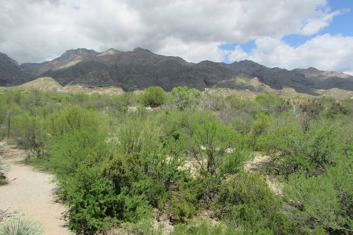 Vacation rental for 3 people, with hot tub and balcony as well as pool in Catalina Foothills