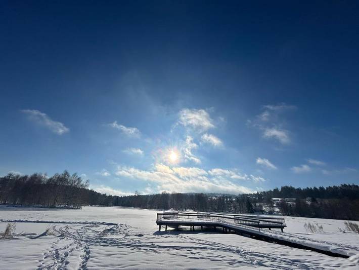Ferienhaus für 4 Personen, mit Garten und Seeblick sowie Pool und Ausblick, mit Haustier im Bayerischer Wald - 3