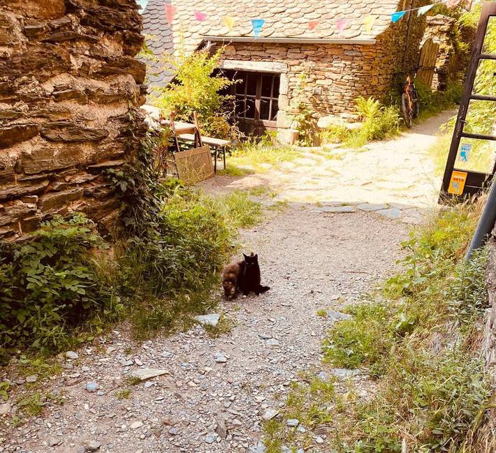 Maison d’hôte pour 3 personnes, avec vue et terrasse dans Lozère - 4