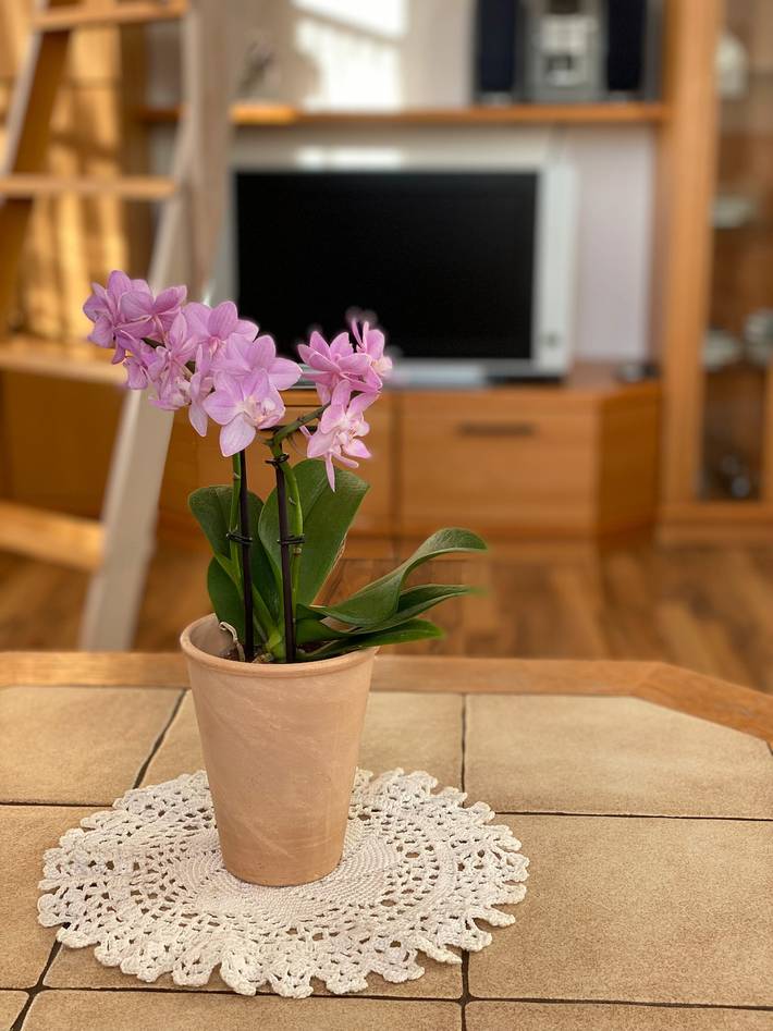 Ferienwohnung für 4 Personen, mit Balkon in Schramberg